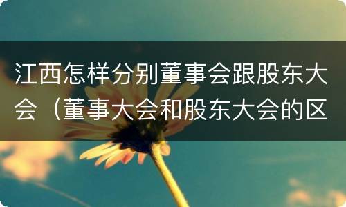 江西怎样分别董事会跟股东大会（董事大会和股东大会的区别）