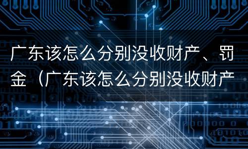 广东该怎么分别没收财产、罚金（广东该怎么分别没收财产,罚金呢）