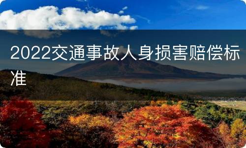 2022交通事故人身损害赔偿标准