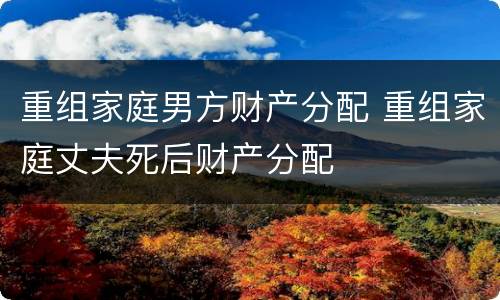 重组家庭男方财产分配 重组家庭丈夫死后财产分配