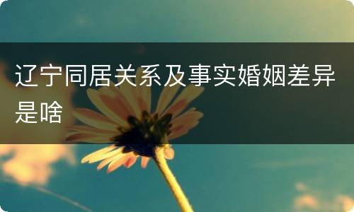 辽宁同居关系及事实婚姻差异是啥