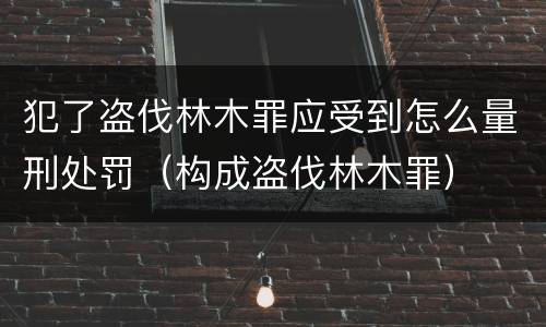 犯了盗伐林木罪应受到怎么量刑处罚（构成盗伐林木罪）