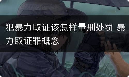 犯暴力取证该怎样量刑处罚 暴力取证罪概念