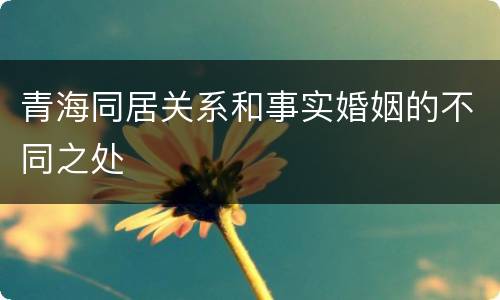 青海同居关系和事实婚姻的不同之处