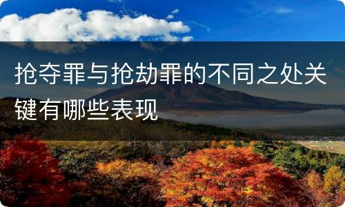 抢夺罪与抢劫罪的不同之处关键有哪些表现