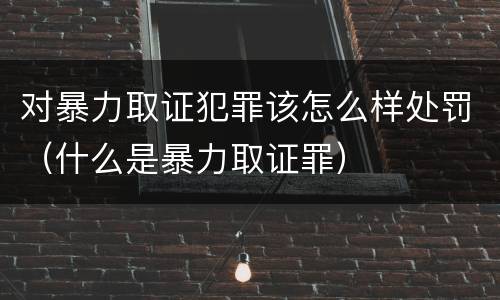 对暴力取证犯罪该怎么样处罚（什么是暴力取证罪）
