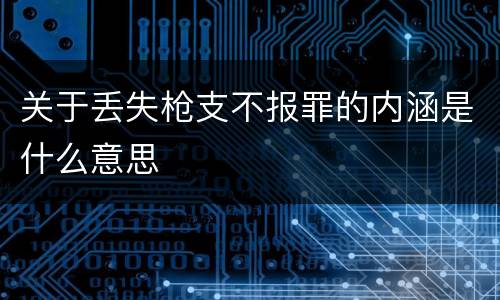 关于丢失枪支不报罪的内涵是什么意思