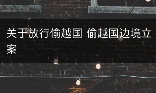 关于放行偷越国 偷越国边境立案