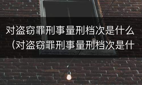 对盗窃罪刑事量刑档次是什么（对盗窃罪刑事量刑档次是什么标准）