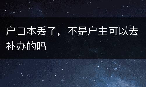 户口本丢了，不是户主可以去补办的吗