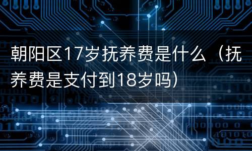 朝阳区17岁抚养费是什么（抚养费是支付到18岁吗）