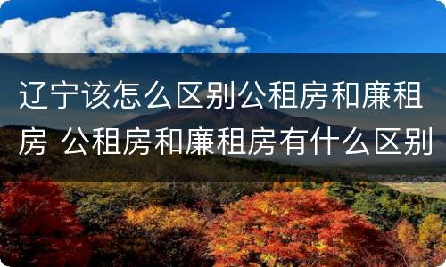 辽宁该怎么区别公租房和廉租房 公租房和廉租房有什么区别,哪个更好点