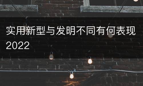 实用新型与发明不同有何表现2022