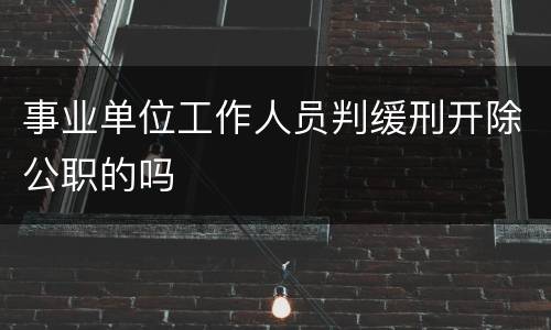 事业单位工作人员判缓刑开除公职的吗