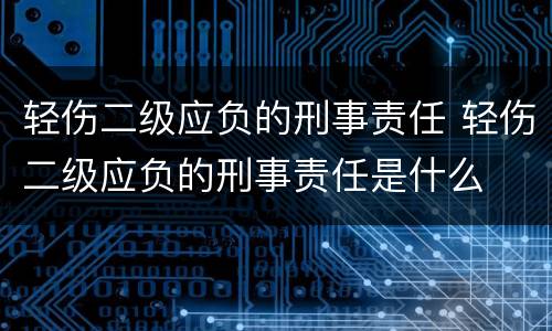 轻伤二级应负的刑事责任 轻伤二级应负的刑事责任是什么