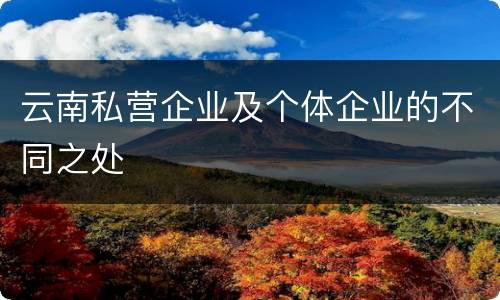 云南私营企业及个体企业的不同之处