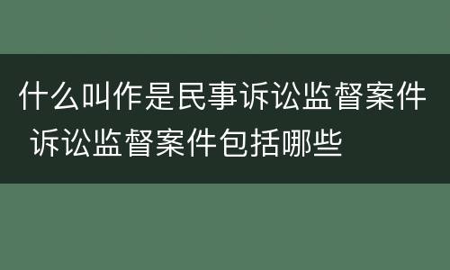 什么叫作是民事诉讼监督案件 诉讼监督案件包括哪些