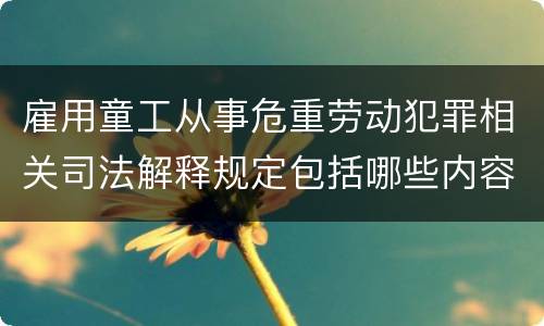 雇用童工从事危重劳动犯罪相关司法解释规定包括哪些内容