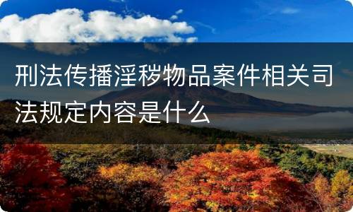 刑法传播淫秽物品案件相关司法规定内容是什么