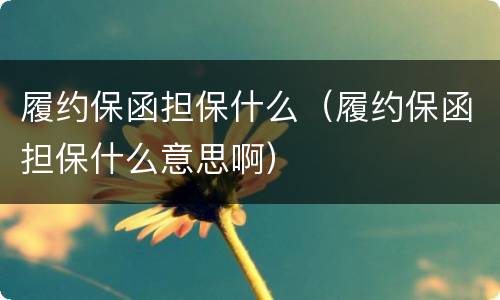 履约保函担保什么（履约保函担保什么意思啊）