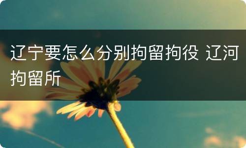 辽宁要怎么分别拘留拘役 辽河拘留所