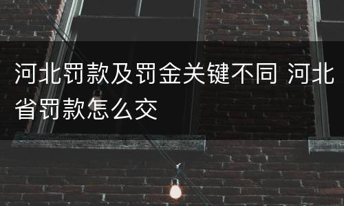 河北罚款及罚金关键不同 河北省罚款怎么交