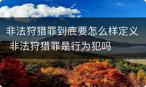 非法狩猎罪到底要怎么样定义 非法狩猎罪是行为犯吗