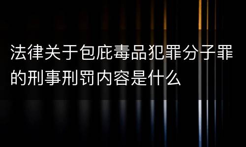 法律关于包庇毒品犯罪分子罪的刑事刑罚内容是什么