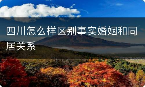 四川怎么样区别事实婚姻和同居关系