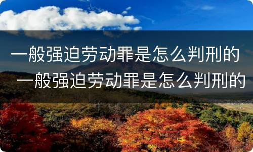 一般强迫劳动罪是怎么判刑的 一般强迫劳动罪是怎么判刑的呀