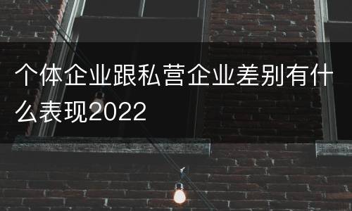 个体企业跟私营企业差别有什么表现2022