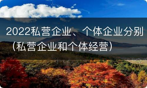 2022私营企业、个体企业分别（私营企业和个体经营）