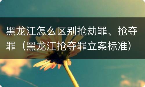 黑龙江怎么区别抢劫罪、抢夺罪（黑龙江抢夺罪立案标准）