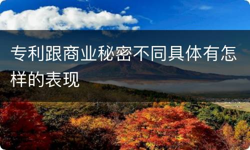 专利跟商业秘密不同具体有怎样的表现