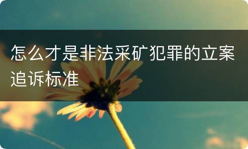 怎么才是非法采矿犯罪的立案追诉标准