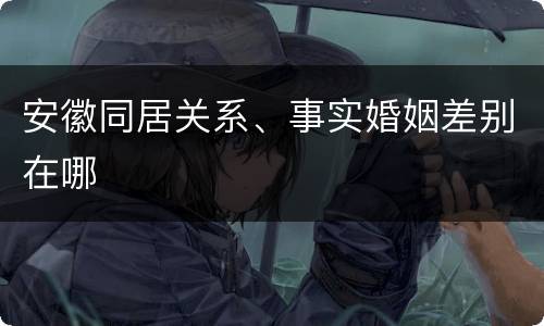 安徽同居关系、事实婚姻差别在哪