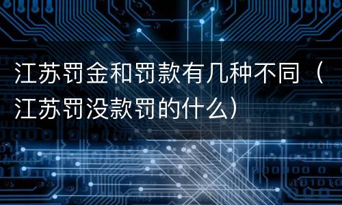 江苏罚金和罚款有几种不同（江苏罚没款罚的什么）