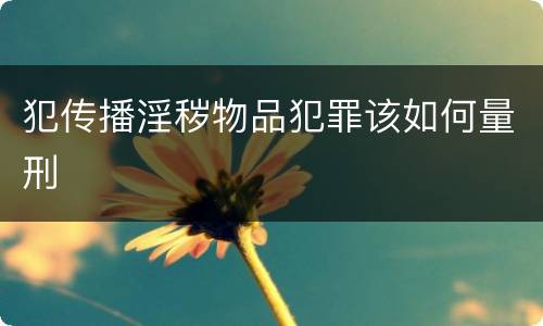 犯传播淫秽物品犯罪该如何量刑