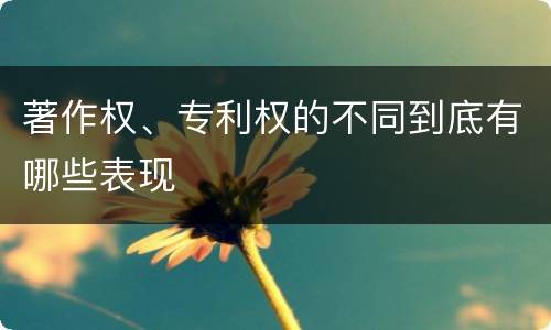 著作权、专利权的不同到底有哪些表现