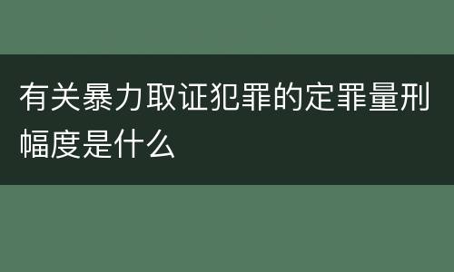 有关暴力取证犯罪的定罪量刑幅度是什么