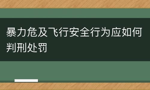 暴力危及飞行安全行为应如何判刑处罚