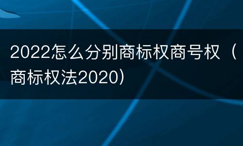 2022怎么分别商标权商号权（商标权法2020）