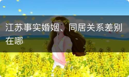 江苏事实婚姻、同居关系差别在哪