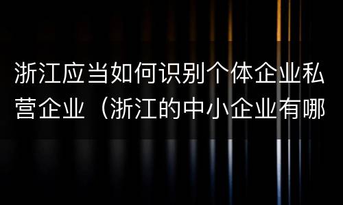 浙江应当如何识别个体企业私营企业（浙江的中小企业有哪些）