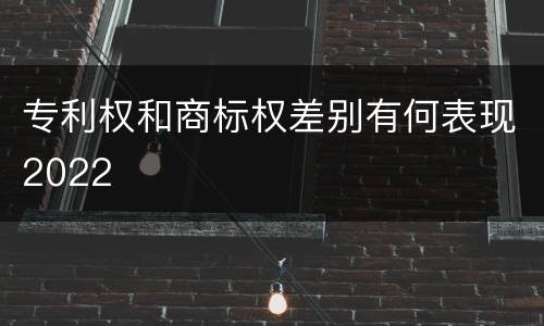 专利权和商标权差别有何表现2022