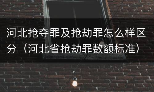 河北抢夺罪及抢劫罪怎么样区分（河北省抢劫罪数额标准）
