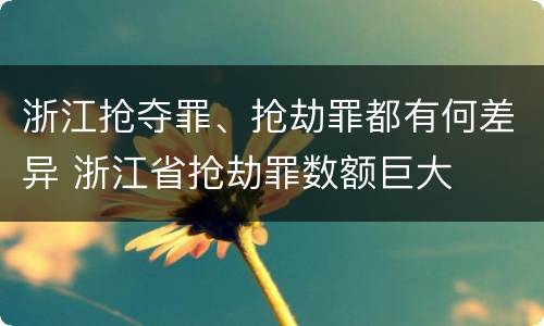 浙江抢夺罪、抢劫罪都有何差异 浙江省抢劫罪数额巨大