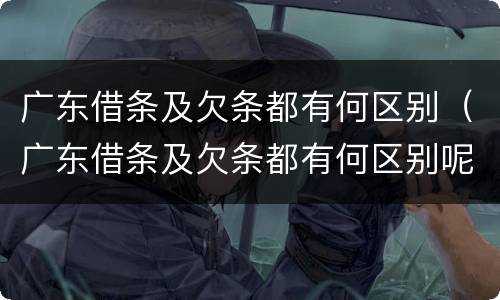 广东借条及欠条都有何区别（广东借条及欠条都有何区别呢）