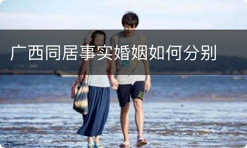 广西同居事实婚姻如何分别
