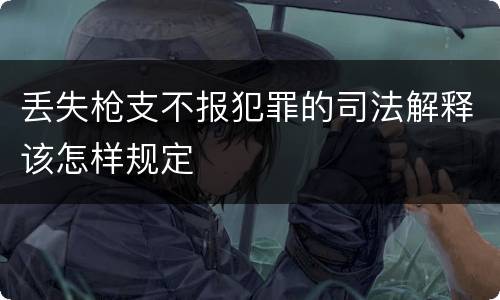 丢失枪支不报犯罪的司法解释该怎样规定